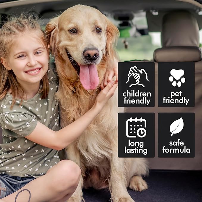 Hanging Car Air Freshener, Teakwood, Leather, Ice, 3 Pack, Essential Oil Car Diffuser, Long Lasting Air Fresheners for Men