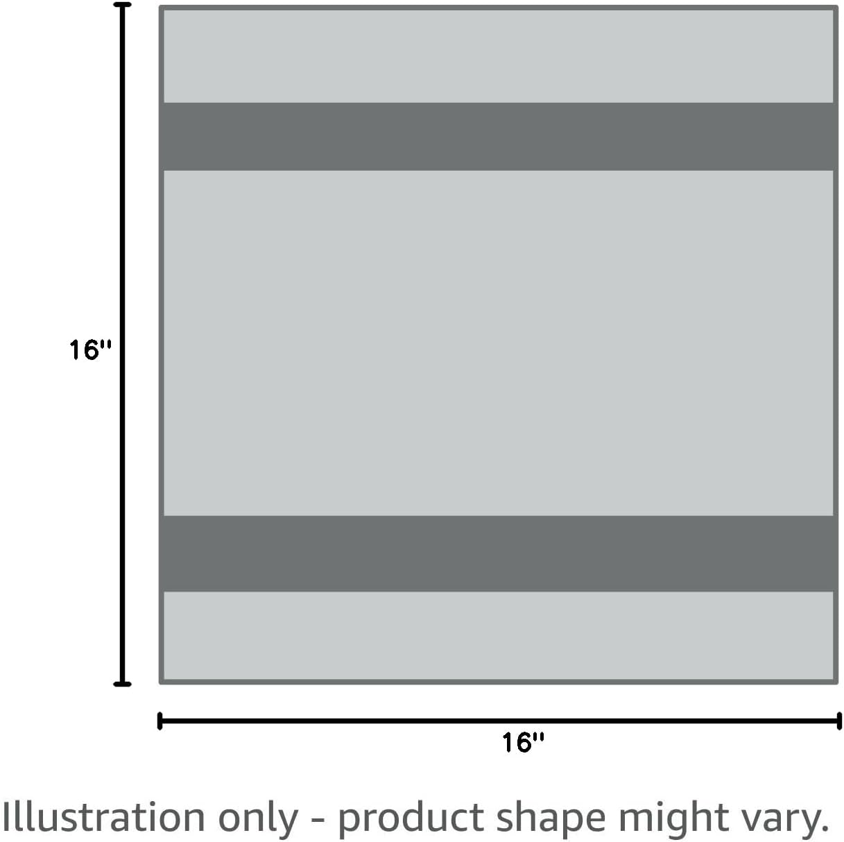 Autofiber Korean Plush Premium Edgeless Microfiber Detailing Towels - Pack of 10, Orange (16 inch x 16 inch)