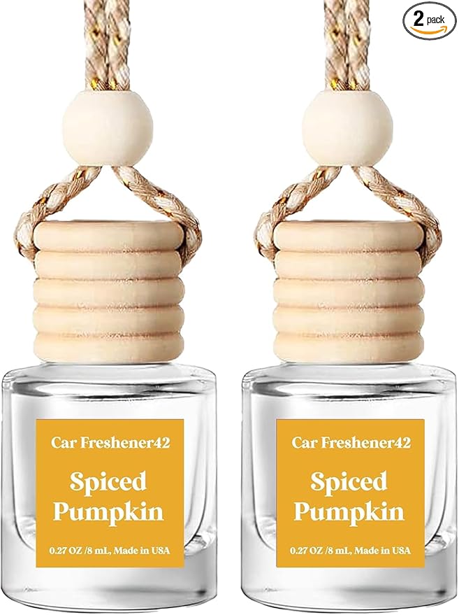 HoogaLife Car Air Freshener Diffuser 2 Pack Hanging Spiced Pumpkin Car Air Freshener for Women 45+ days Long Lasting Fragrance Made in USA (P42)