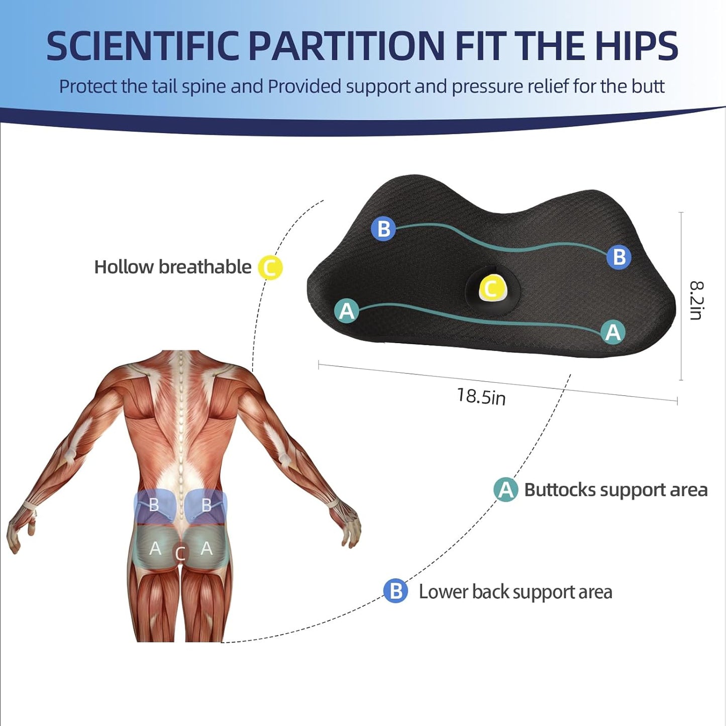 Lumbar Support Pillow for Car, 2 in 1 Memory Foam Lower Back Support Cushion, Fill Bucket Seat and Sciatica Pain Relief Pillow, Back Support Pillow for Car, Office Chair, Wheelchair.