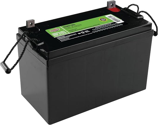 Interstate Batteries 12V 100Ah 110Ah (L Terminal) Deep Cycle Mobility Battery Group 29 VRLA SLA AGM, Rechargeable Replacement for Campers, RVs, Trailers, Wheelchairs (DCM0100L)…