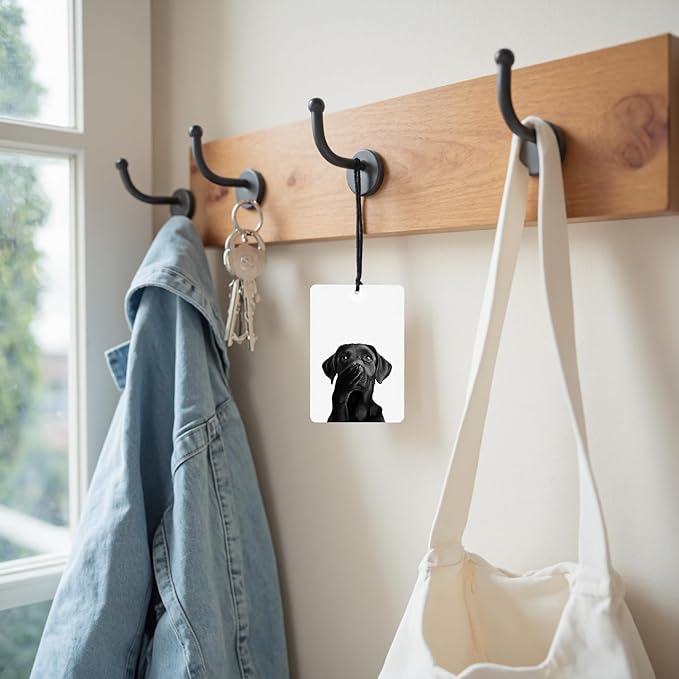 Funny Black Labrador Retrieve Car Air Freshener 4 Pcs, Black Lab Dog Mom Gifts Hanging Air Freshener for Cars Closet Drawer Books, Funny Dogs Car Accessories Mirror Decor for Women