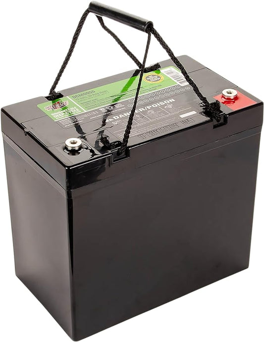 Interstate Batteries 12V 55Ah Deep Cycle Mobility Battery Group 22NF VRLA SLA AGM (Insert Terminal) Rechargeable Replacement for Wheelchairs, Scooters, ATVs, Solar Power (DCM0055)