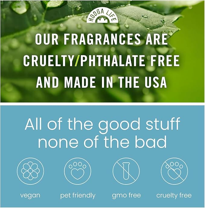 HoogaLife Car Air Freshener Diffuser 2 Pack Hanging Air Freshener Diffuser - Coconut Fragrance Oil Air D iffuser for Car, 45+ days Long Lasting Fragrance Made in USA (C16)