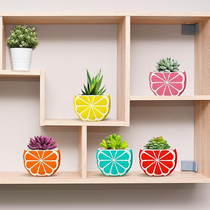 Pasimy 6 Set DIY Ceramic Succulent Planter Pots Paint Your Own Flower Pots Craft Kit Unpainted Bisque Paintable Flowerpot with Brush Palette Ready to Paint for Family Activity Gift(Orange)