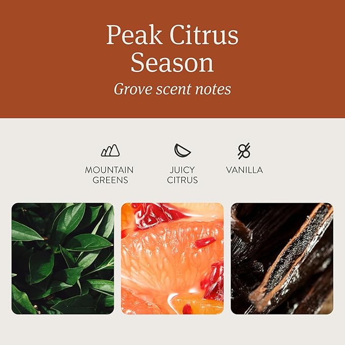 Drift Car Air Freshener - The Original Wood Air Freshener - Car Odor Eliminator - Long Lasting Scent - Metal Clip - Essential Oils - Clean Ingredients - Grove Scent 3 Pack Refill - NO CLIP INCLUDED