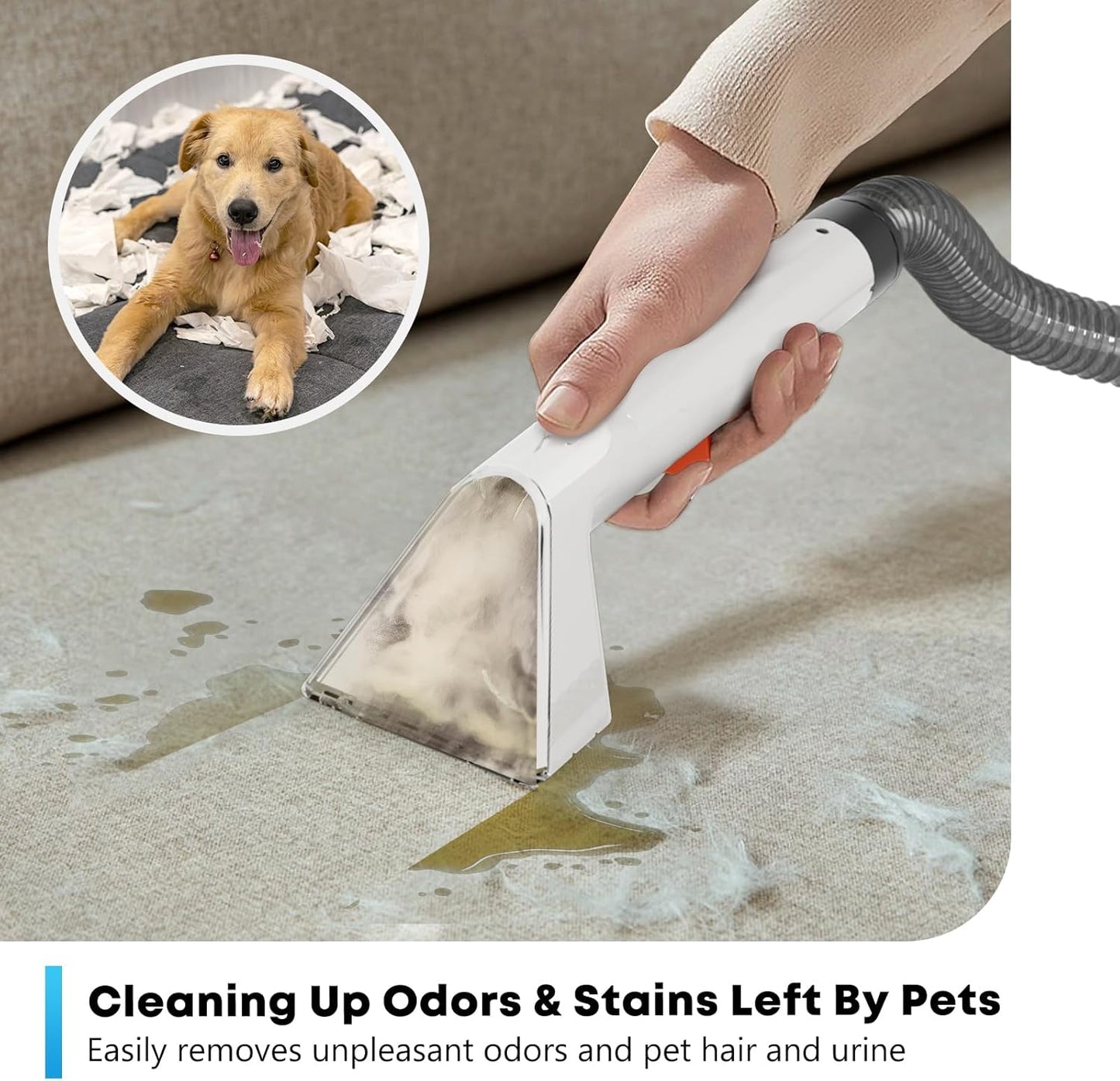 Portable Carphcleaner & Upholstery Cleaner Machine - Multi-Surface Carpet Shampooer with Powerful Suction, Handheld Spot Cleaner for Pets, Stains, Auto Detailing, Furniture, Couch, Car Seats (Silver)