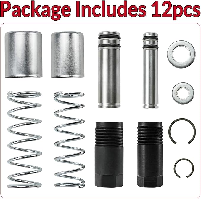 Floor Jack Replacement Parts Low Side Bigger & Smaller Horizontal Double Pump Piston Plunger Kit with Washers Retaining Ring for 3 Ton Hydraulic with Dual Pump Pitts-Burgh to-rin Bi-g Red Day-Tona