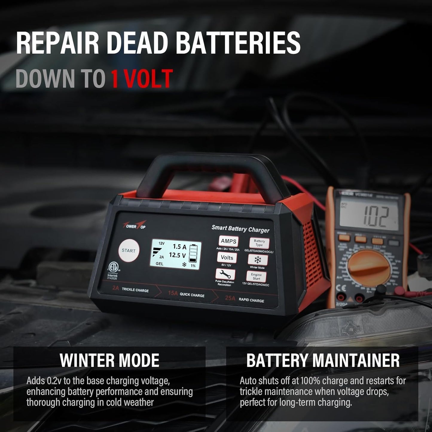 TowerTop 2/15/25 Amp Car Battery Charger, 6V/12V Fully Automatic Smart Battery Maintainer with Engine Start, Auto Desulfator, Battery Repair, Winter Mode, for All Lead-Acid and LiFePO4 Batteries