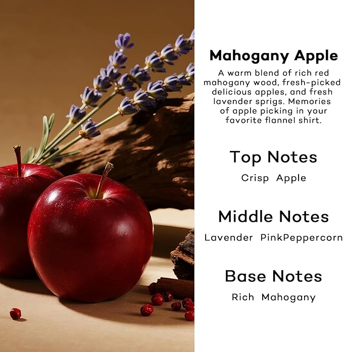 HoogaLife Car Air Freshener Diffuser 2 Pack Hanging Air Freshener Diffuser - Mahogany Apple Fragrance Oil Air D iffuser for Car, 45+ days Long Lasting Fragrance Made in USA (MA112)