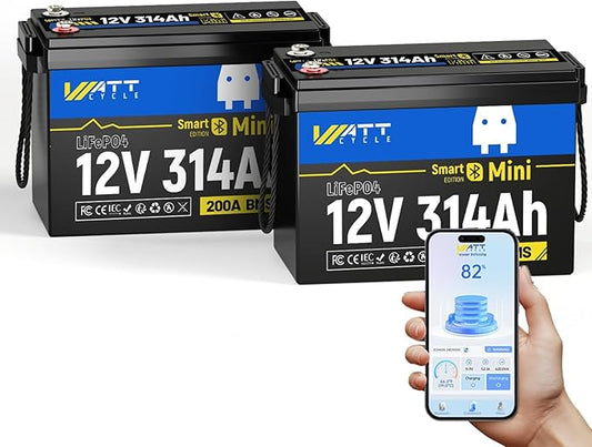12V 314Ah Lithium LiFePO4 Battery Mini with Bluetooth 5.0 BMS 200A, 4.01kWh Energy, Upgraded Aluminum Cooling Fins & Braided Copper Wires, upporting devices over 2000W (2 PACK)