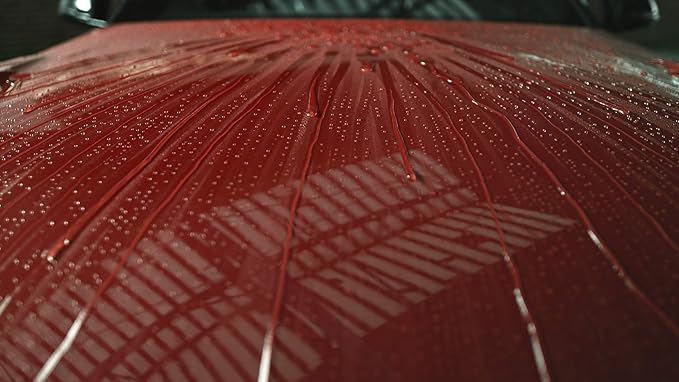 303 Products Touchless Sealant - SiO2 Technology - Water Activated Paint and Glass Protection - Spray On, Rinse Off, Refill for Trigger Spray Bottle,1 Gallon (30399)