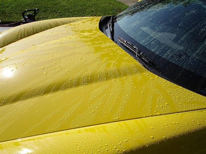 Corrosion Technologies RejeX 61002 (16 fl oz) – High Gloss Finish That Protects | Paint & Surface Sealant for all Vehicles | Lasts 3X Longer Than Any Wax | Nothing Sticks But The Shine!