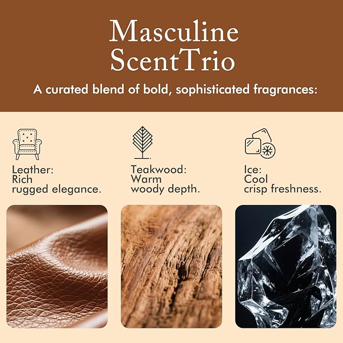 Hanging Car Air Freshener, Teakwood, Leather, Ice, 3 Pack, Essential Oil Car Diffuser, Long Lasting Air Fresheners for Men