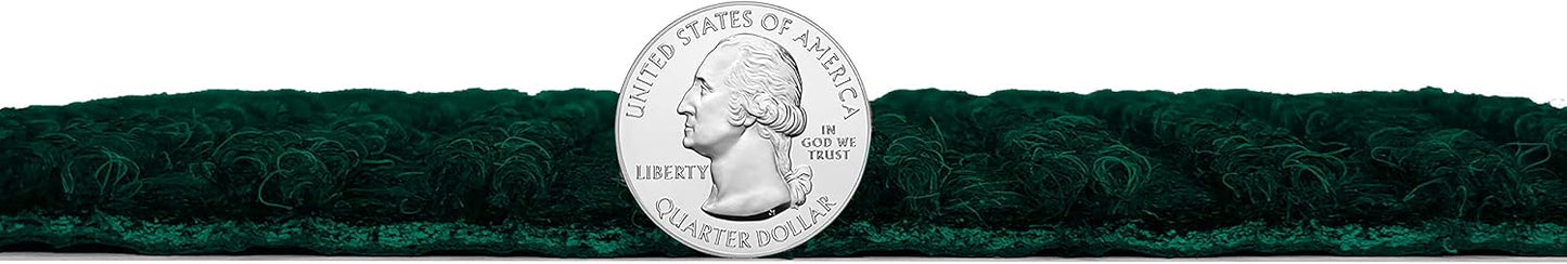 KOECKRITZ Heavy Duty Durable All Weather Indoor/Outdoor Non Slip Entrance Mat Rugs and Runners for Office Business Building Home Garage Front Door (4' x 20', Green)