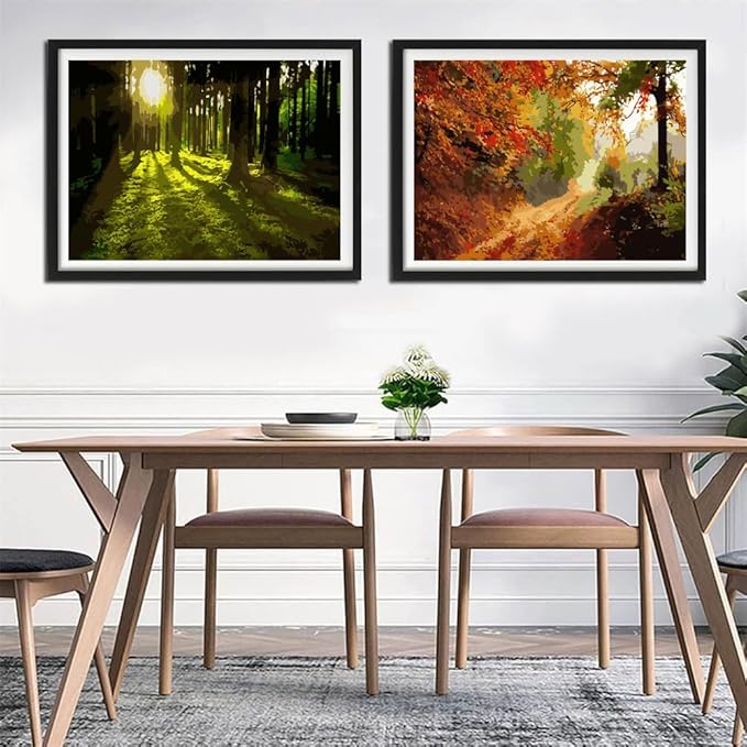 YANXIN Paint by Numbers Kit for Adults Beginners 2 Pack Paint by Numbers for Adults Rolled up Canvas for Home Decoration Creative Wall Art with Colorful Gift Box 12x16 inch Forest Sunrise 175-176