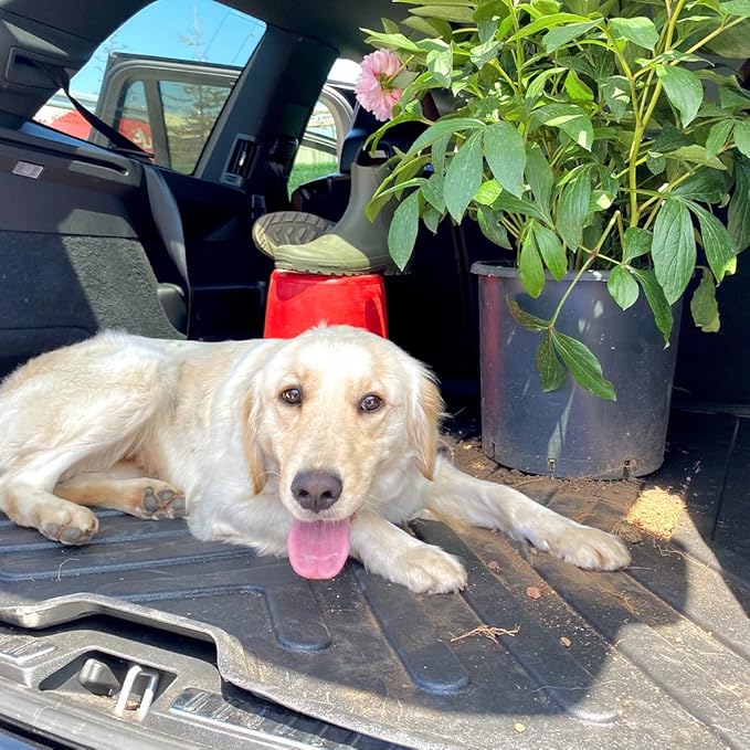 Kia Sorento 2021-2026 Cargo Liner 3D Custom Fit Heavy Duty All Weather Rubber Car Trunk Liners Waterproof Odorless Non-Slip Soft TPE Cargo Mats (Black) by RizLiner