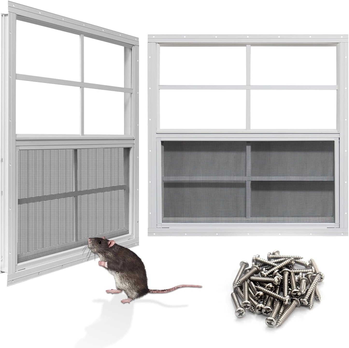 NeatiEase Upgraded Shed Windows 2 Pack, 36" x 36" Windows with Tempered Glass and Stainless Steel Screen for Shed, Chicken Coop, Playhouse, Household, Garage(White)