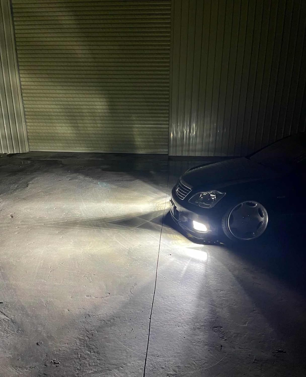 SEALIGHT H11/H16/H8 LED Fog Light Bulb, 14,000 Lumens 6500K White Light, 800% Brightness H11 LED Fog Lights, 60000HRS Lifespan 1:1 H8 H16 Fog Light Bulb, Pack of 2, Exterior Lighting