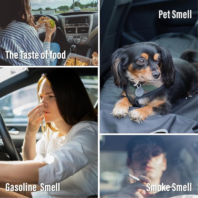 Car Air Freshener Vent Clip, Car Fresheners Long Lasting Scent (13ml x 2 Pack), Up to 180 Days, Air Freshener Deodorizer Odor Eliminator for Auto - Gardenia Perfume