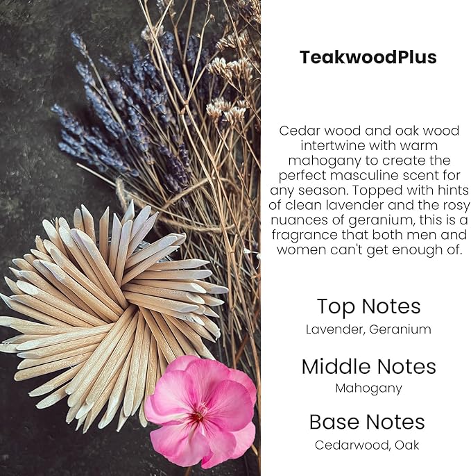 HoogaLife Car Air Freshener Diffuser 2 Pack Hanging Mahogany Teakwood Car Air Freshener for Women 45+ days Long Lasting Fragrance Made in USA (M33)