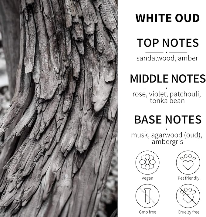 2- Pack White Oud Car Air Freshener Hanging Long Lasting Car Scent Essential Oil Diffuser Car Perfume Inspired Fragrances for Men and Women by VUTOLLOSA