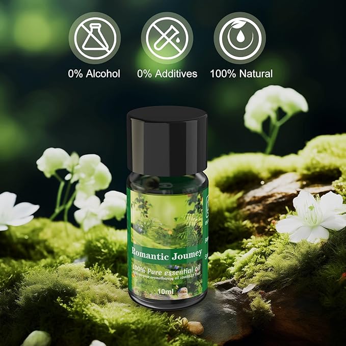 Car Air Freshener Refill, Delivers Over 3000 Sprays, Five Scents, Long-Lasting Freshness Refill (10 Bottles)