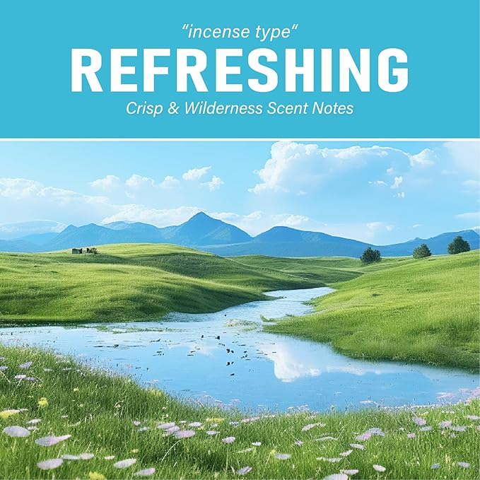 Car Air Freshener Vent Clip, Car Fresheners Long Lasting Scent (13ml x 2 Pack), Up to 180 Days, Air Freshener Deodorizer Odor Eliminator for Auto - Fresh Perfume