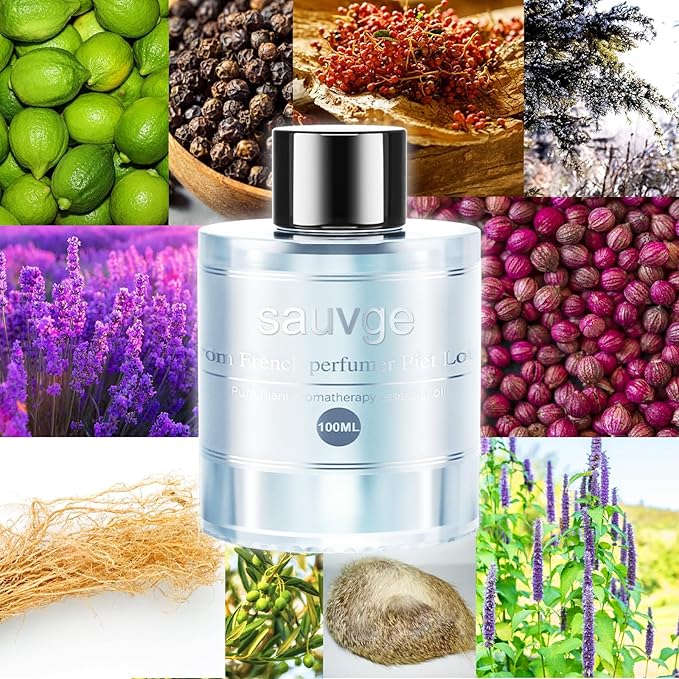 Amor Lyris Car Air Freshener Refill 3.5OZ/100ml Bottle, CO01/Dedicated Perfume Long Lasting Air Fresheners 6 Months, Car Diffuser Essential Oil Made of Natural Plant Extracts, Sauvage