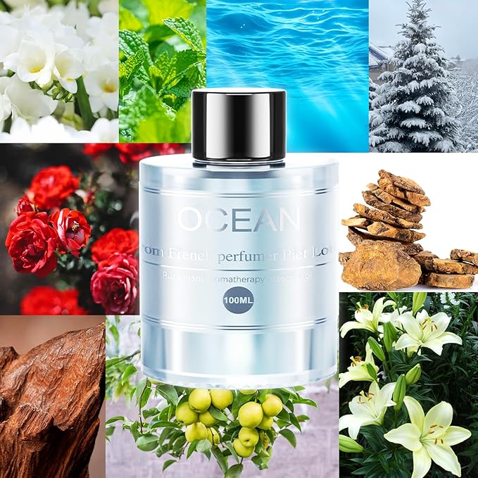 Amor Lyris Car Air Freshener Refill 3.5OZ/100ml Bottle, CO01/Dedicated Perfume Long Lasting Air Fresheners 6 Months, Car Diffuser Essential Oil Made of Natural Plant Extracts, Ocean