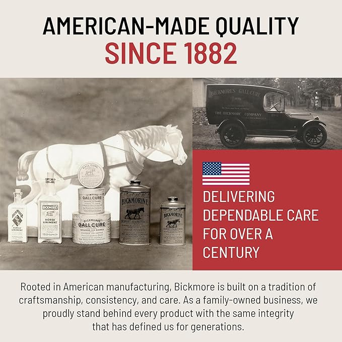 Bick 4 Leather Conditioner and Leather Cleaner 8 oz - Will Not Darken Leather - Safe For All Colors of Leather Apparel, Furniture, Jackets, Shoes, Auto Interiors, Bags & All Other Leather Accessories