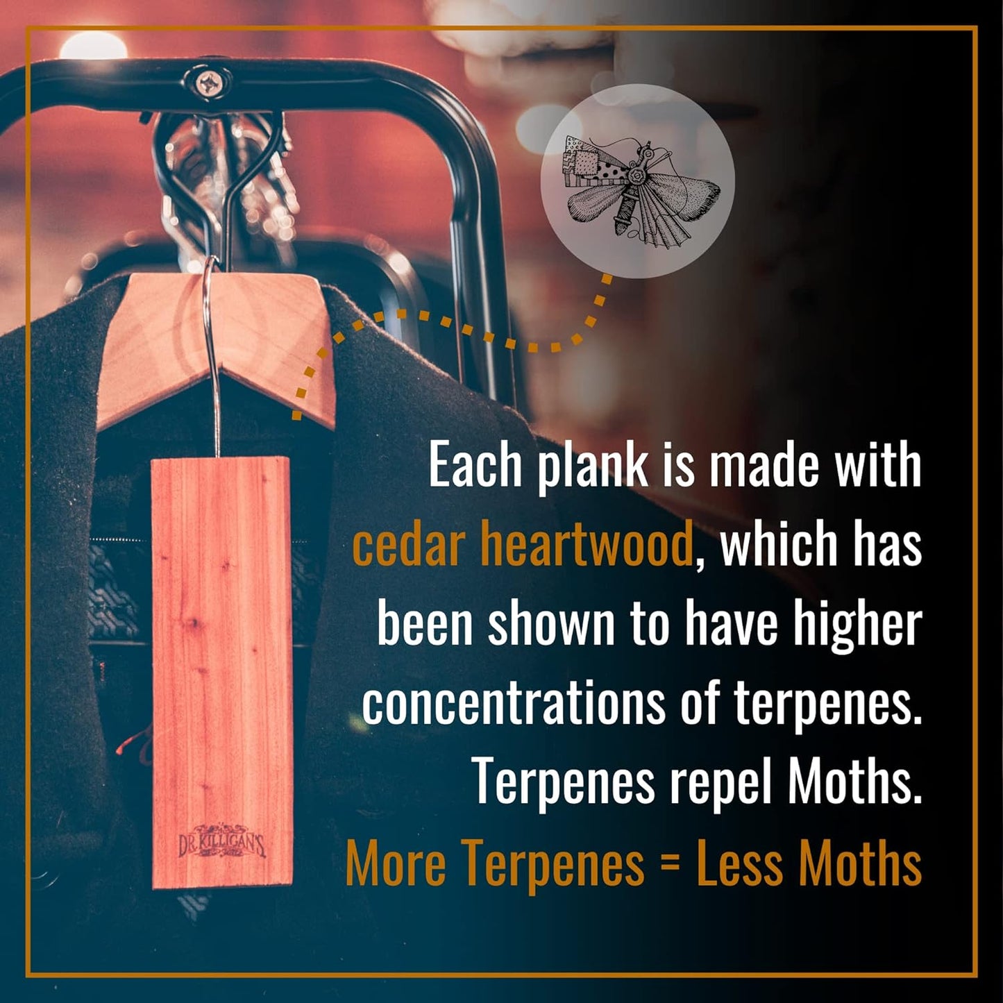 Dr. Killigan’s Moth Traps & Cedar Planks - Clothes Protection Combo – for Preventing and Eliminating Clothing Moths in Closets, Drawers & Storage