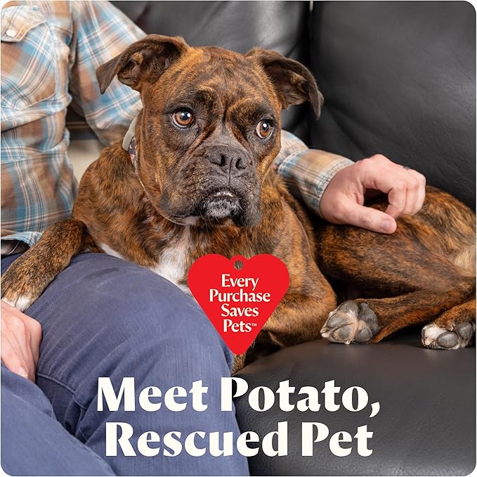 BISSELL Little Green Mini Cordless Portable Carpet and Upholstery Deep Cleaner, Car/Auto Detailer, with HydroRinse Self-Cleaning Tool and 4" Tough Stain Tool, Limited Edition Color Dusk Pink, 4015F