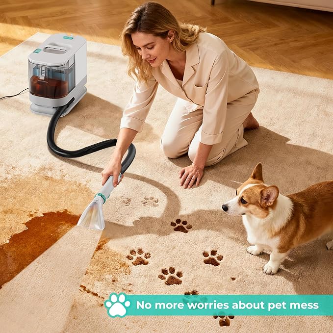 HAUSHOF Portable Carpet Spot and Upholstery Cleaner Machine, 13Kpa Powerful Suction & Spot Remover, Deep Stain Cleaning for Rug, Carpet, Car Seats, Pets, Stairs, Couches, with Cleaning Solution