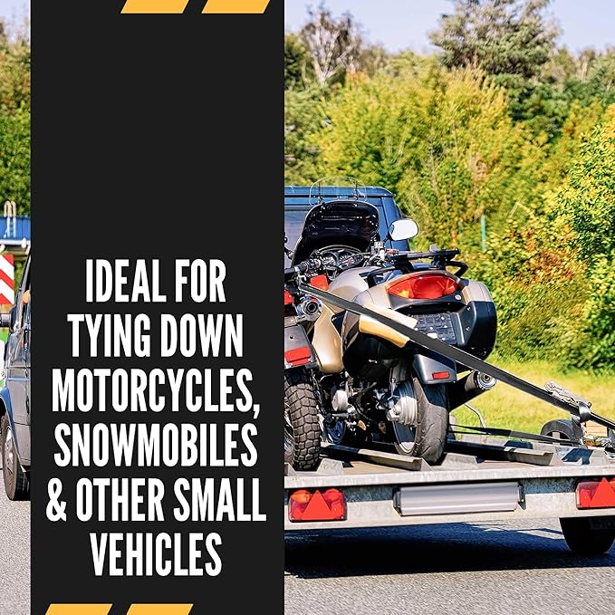 US Cargo Control Stainless Steel Ratchet Straps with S-Hooks (4-Pack), 2 Inch x 10 Foot, 2,500 LBS Break Strength, Marine Tie Down Straps for Boats, ATVs, Trees, Camping, Snow, Saltwater Applications