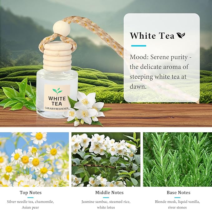 Car Air Freshener Oil Diffuser - Hanging Long Lasting Scent for Car & Home, Essential Oil Freshener with Adjustable Fragrance (Teak Wood+Black Ice+Bamboo Rain+White Tea)