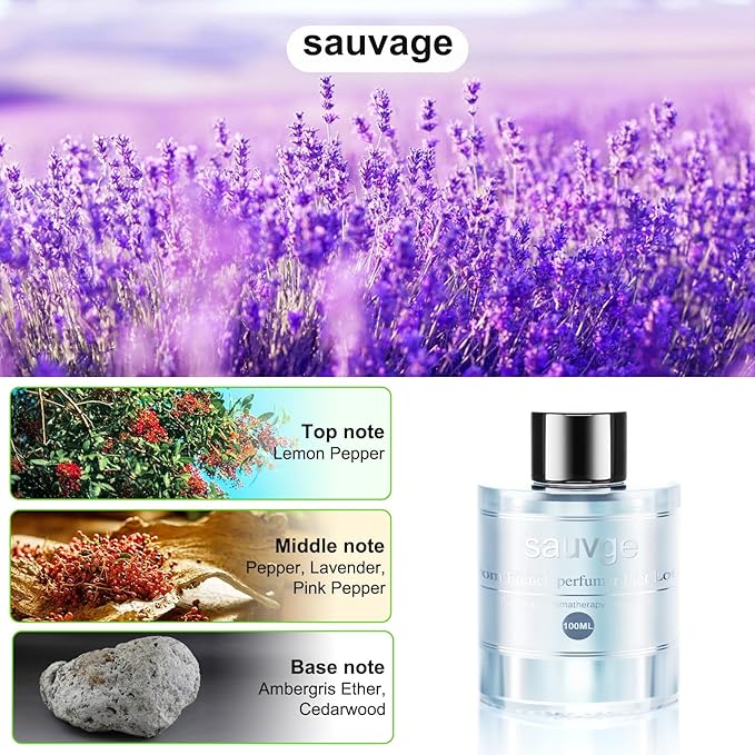 Amor Lyris Car Air Freshener Refill 3.5OZ/100ml Bottle, CO01/Dedicated Perfume Long Lasting Air Fresheners 6 Months, Car Diffuser Essential Oil Made of Natural Plant Extracts, Sauvage