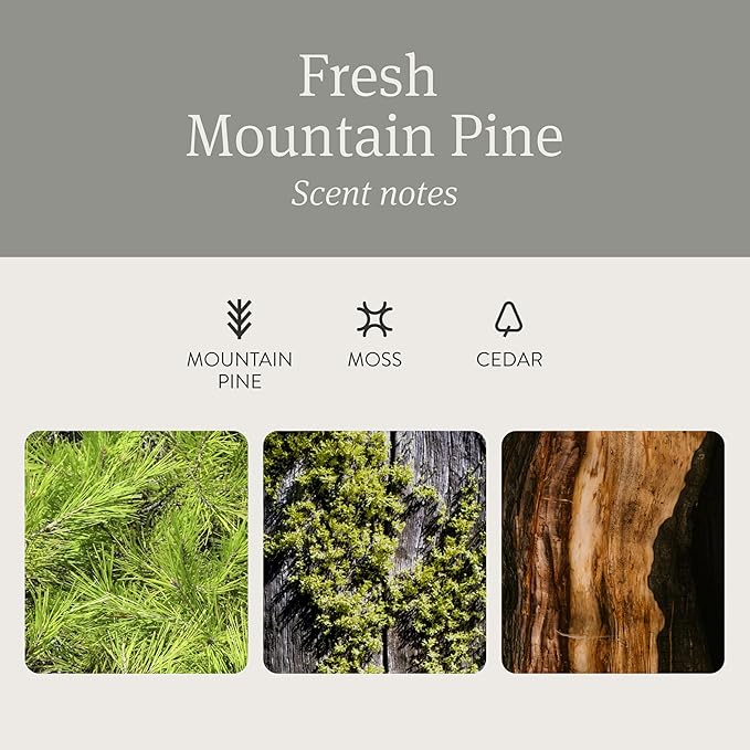 Drift Car Air Freshener - The Original Wood Air Freshener - Car Odor Eliminator - Long Lasting Scent - Metal Clip - Essential Oils - Clean Ingredients - Pine Scent 3 Pack Refill - NO CLIP INCLUDED