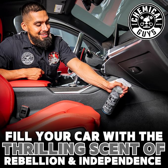 Chemical Guys AIR_224_04 Black Frost Air Freshener and Odor Eliminator, (Great for Cars, Trucks, SUVs, RVs, Home, Office, Dorm Room & More) 4 fl oz