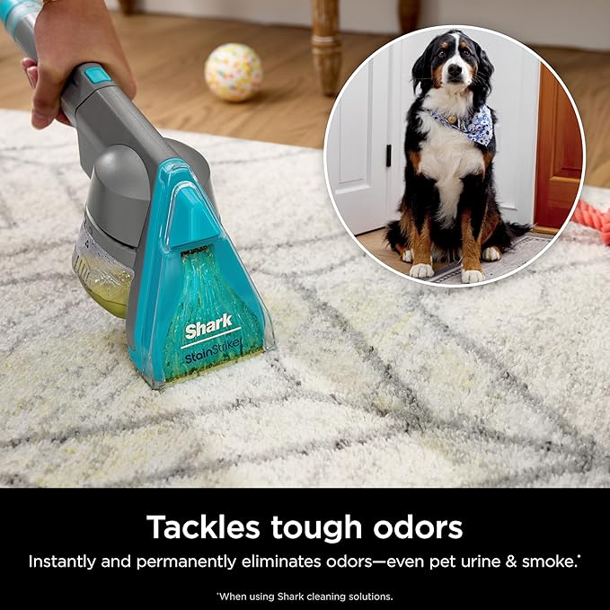 Shark CarpetXpert HairPro with StainStriker Upright Carpet, Area Rug & Upholstery Cleaner, Perfect for Pets & Hair Removal, Carpet Shampooer, 5 Cleaning Tools, Pet Cleaning Solution, Navy, EX304