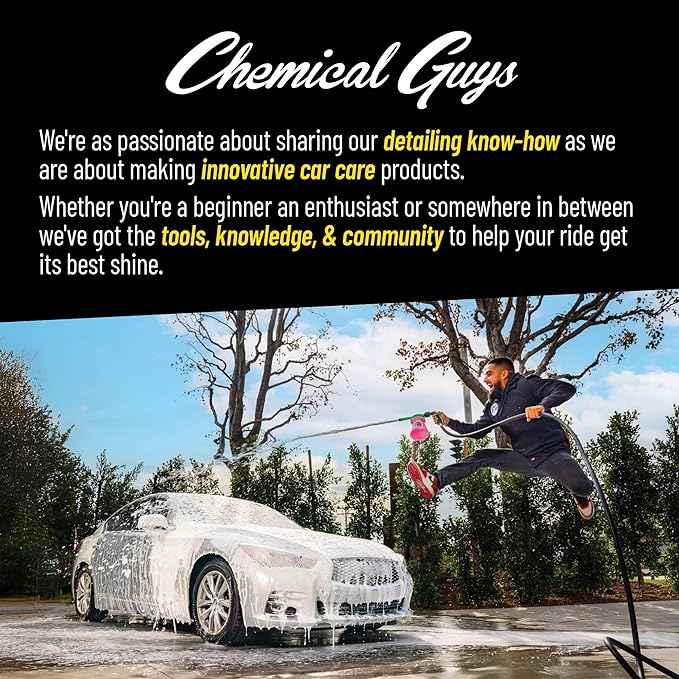 Chemical Guys AIR_069_1602 Signature Scent Premium Air Freshener and Odor Eliminator, Long-Lasting Scent, Great for Cars, Trucks, SUVs, RVs & More, 16 oz (2 Pack)