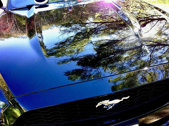 RENEW PROTECT - RP.11 Detailer 16oz- Strongest Detailing Spray & Dry-Wash, Ceramic-Hybrid Formula, Color Depth + Gloss Finish, Quartz & Titanium Ceramics, Fine Polish & High-Grade Carnauba