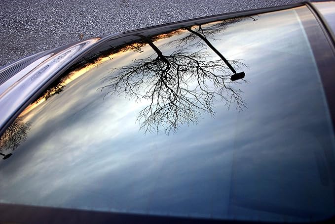 Corrosion Technologies RejeX 61001 (12 fl oz) – High Gloss Finish That Protects | For All Vehicles | Synthetic Paint and Surface Sealant | Lasts 3X Longer Than Any Wax | Nothing Sticks But The Shine!