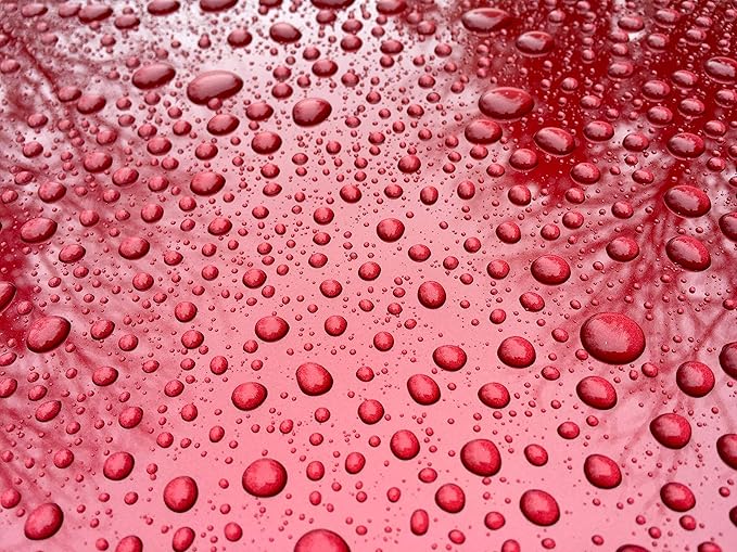 RENEW PROTECT - RP.11 Detailer 16oz- Strongest Detailing Spray & Dry-Wash, Ceramic-Hybrid Formula, Color Depth + Gloss Finish, Quartz & Titanium Ceramics, Fine Polish & High-Grade Carnauba