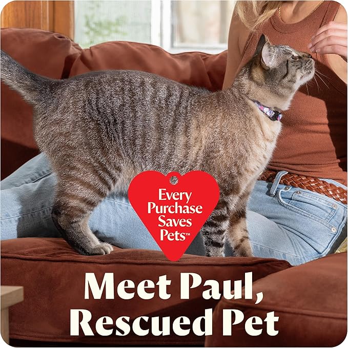 BISSELL Little Green Mini Portable Carpet and Upholstery Deep Cleaner, Car/Auto Detailer, with HydroRinse Self-Cleaning Tool and 4" Tough Stain Tool, Limited Edition Color Lake, 4075F