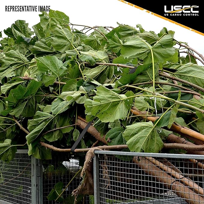 US Cargo Control Stainless Steel Ratchet Strap Tie Down, 1 Inch Wide X 10 Foot Long, Black Tie Down, Stainless Steel Thumb Ratchet, S Hooks, 4 Pack