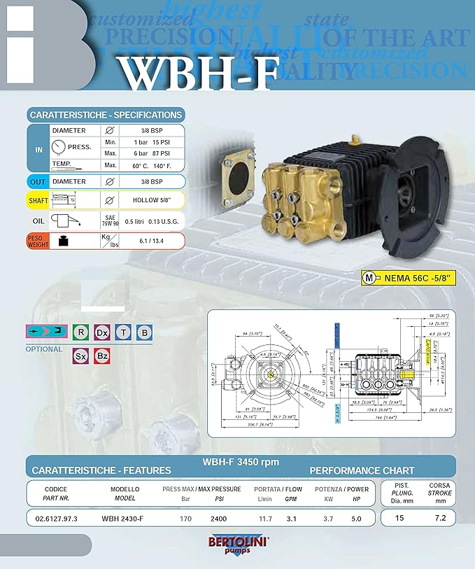 Canpump Electric Pressure Washer: 5 hp Full-Speed Motor 240 V, Bertolini WBH 2430-F Triplex Pump
